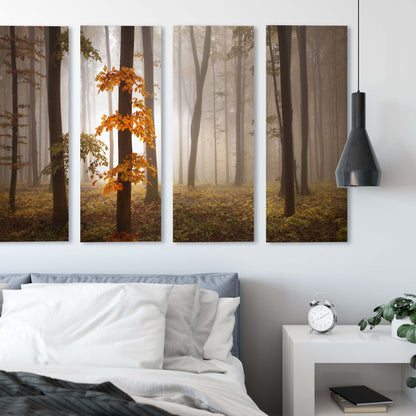 In November Light by Nicolas Schumacher Canvas Print - USTAD HOME