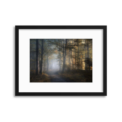 Autumn Symphony by Norbert Maier Framed Print - USTAD HOME