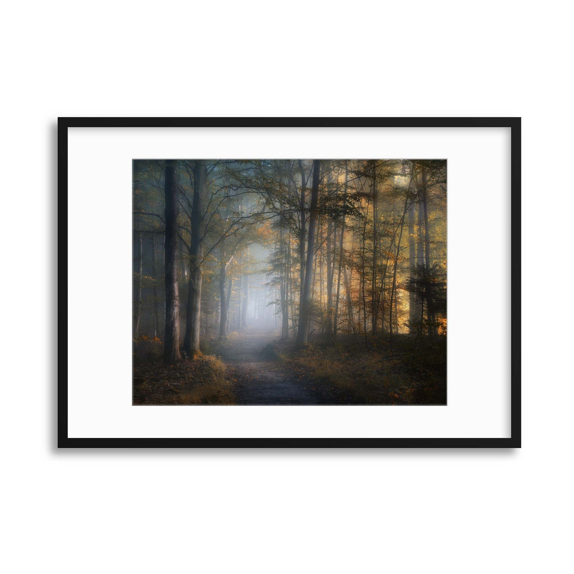 Autumn Symphony by Norbert Maier Framed Print - USTAD HOME