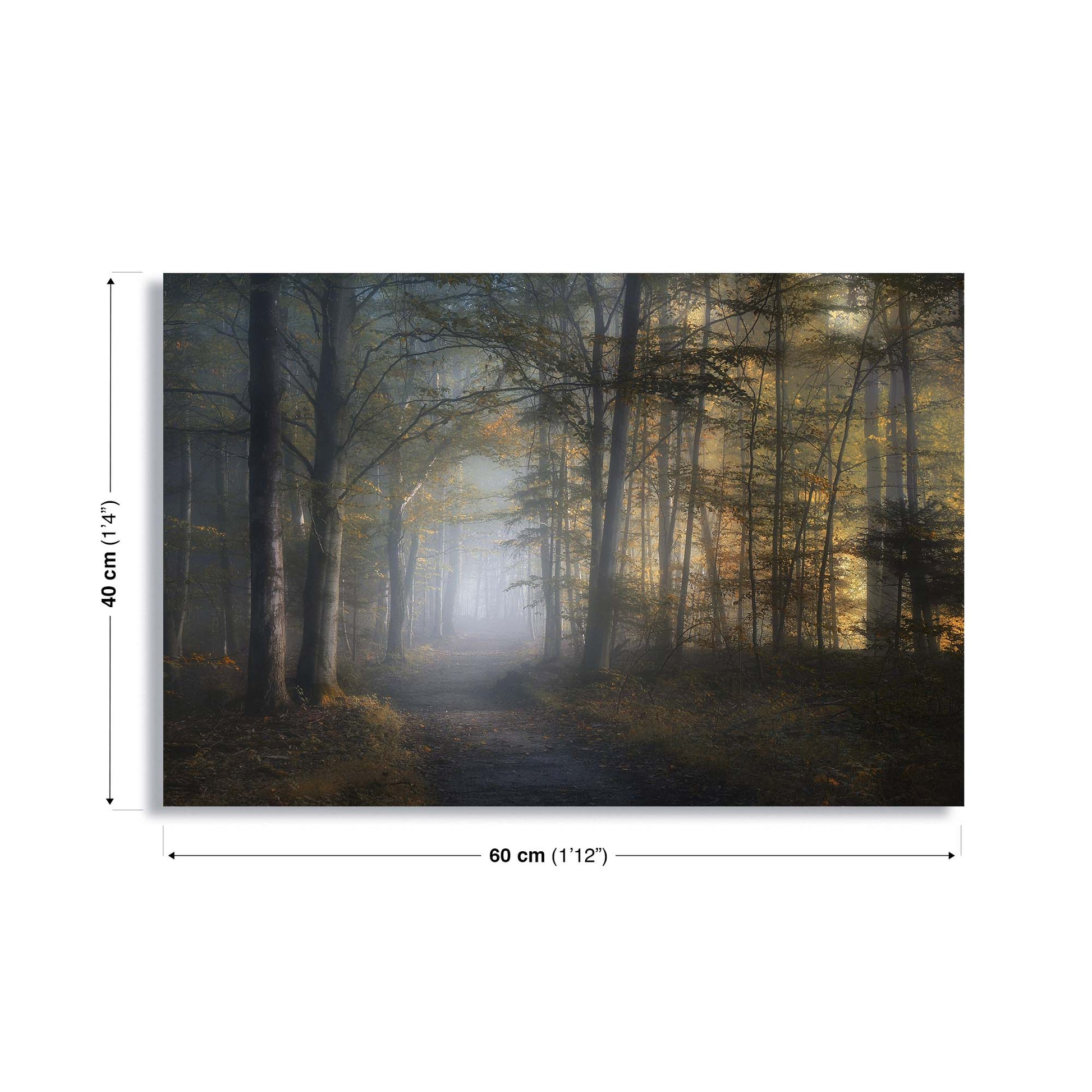 Autumn Symphony by Norbert Maier Canvas Print - USTAD HOME