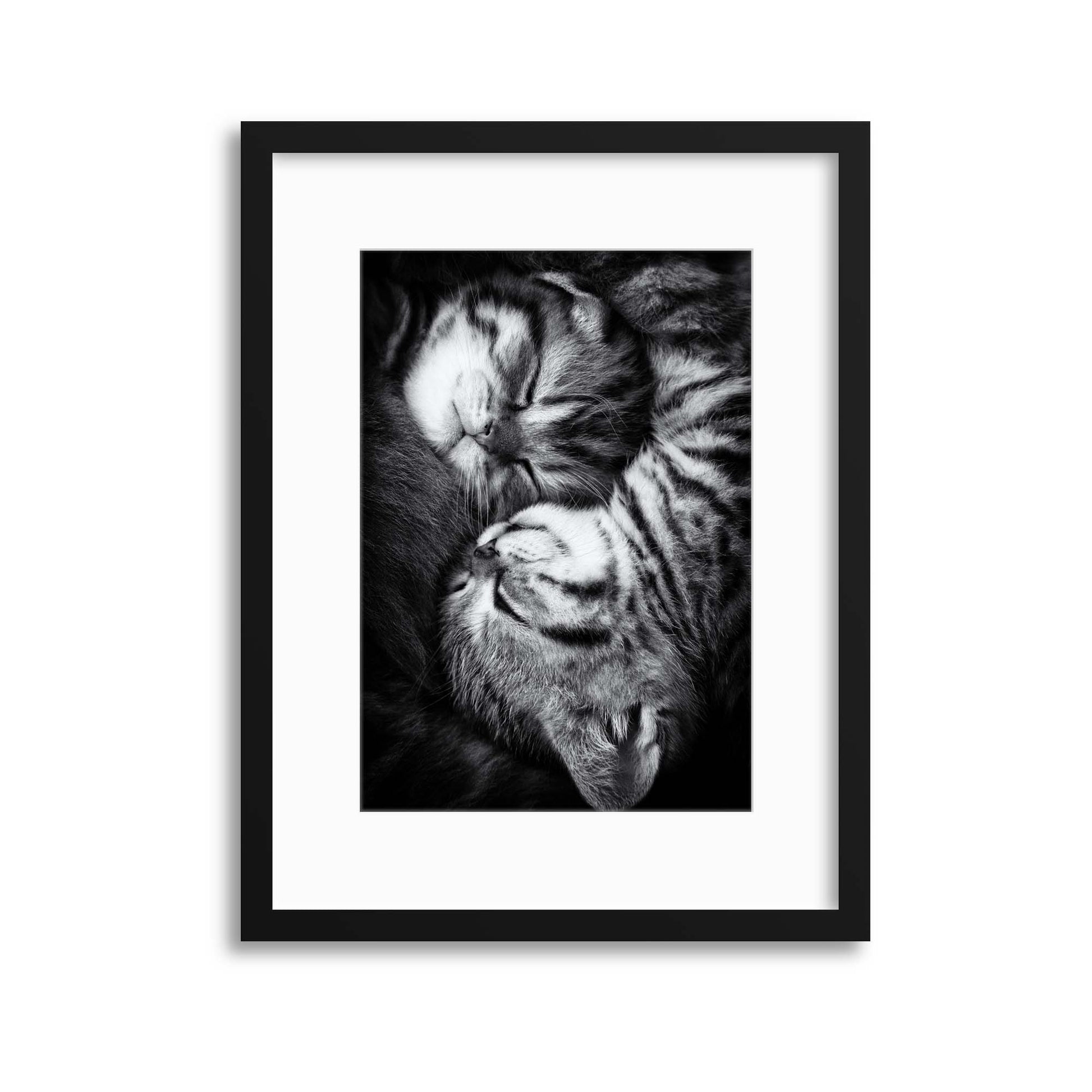Yin and Yang by Andrea Jancova Framed Print - USTAD HOME