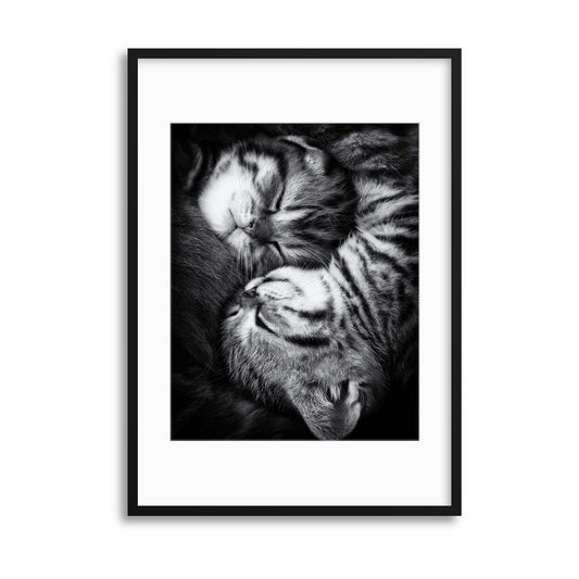 Yin and Yang by Andrea Jancova Framed Print - USTAD HOME