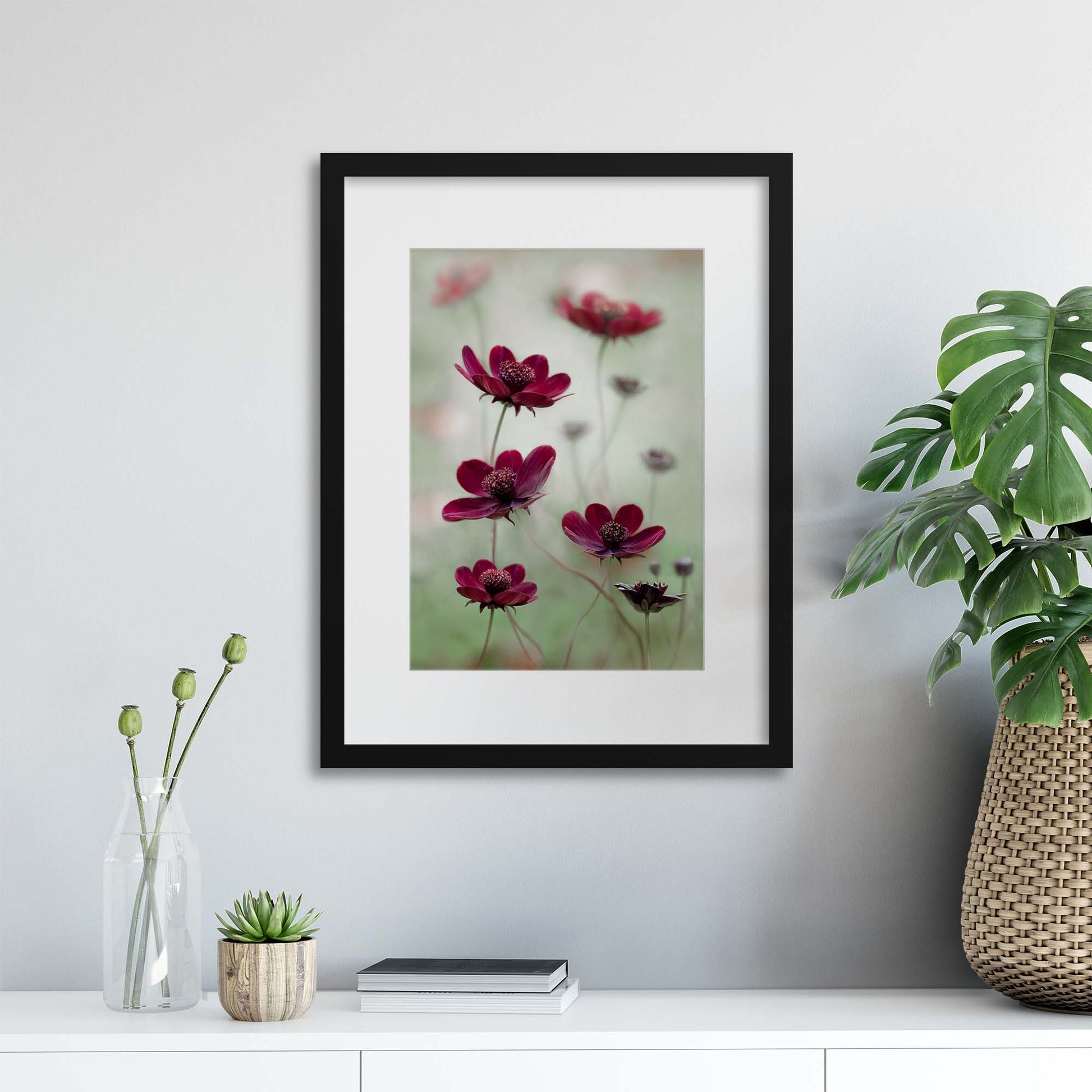 Cosmos Sway by Mandy Disher Framed Print - USTAD HOME