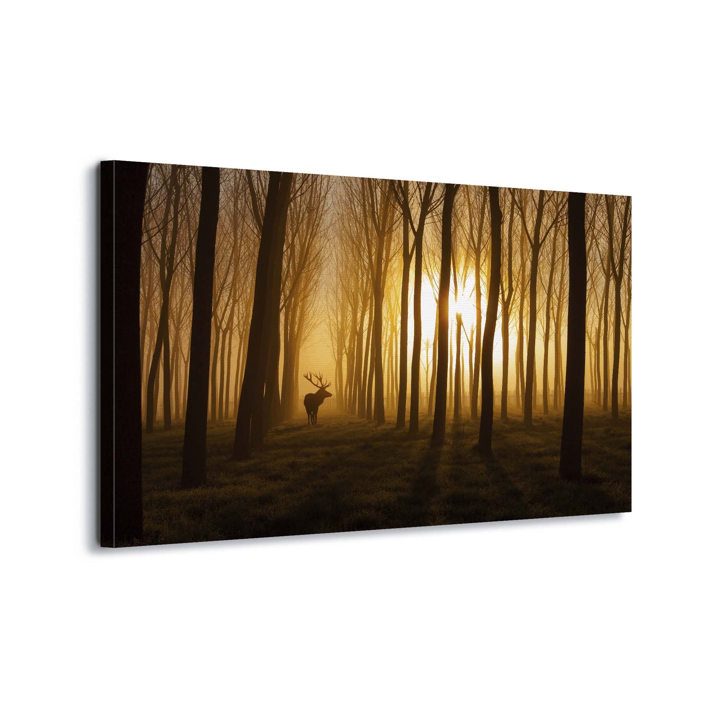 Once Upon a Time by Nafets Norim Canvas Print - USTAD HOME