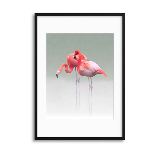 Just we two ... by Anna Cseresnjes Framed Print - USTAD HOME