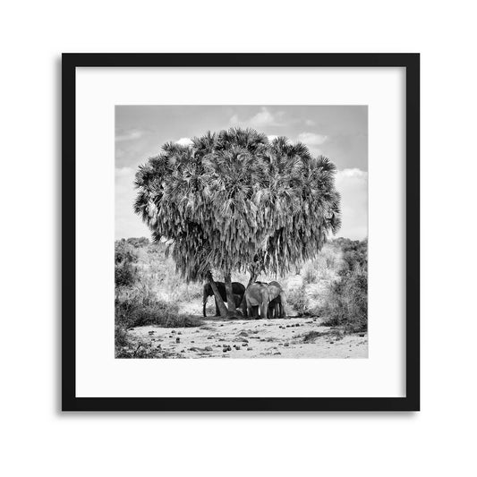 Noon Meeting by Marcel Rebro Framed Print - USTAD HOME