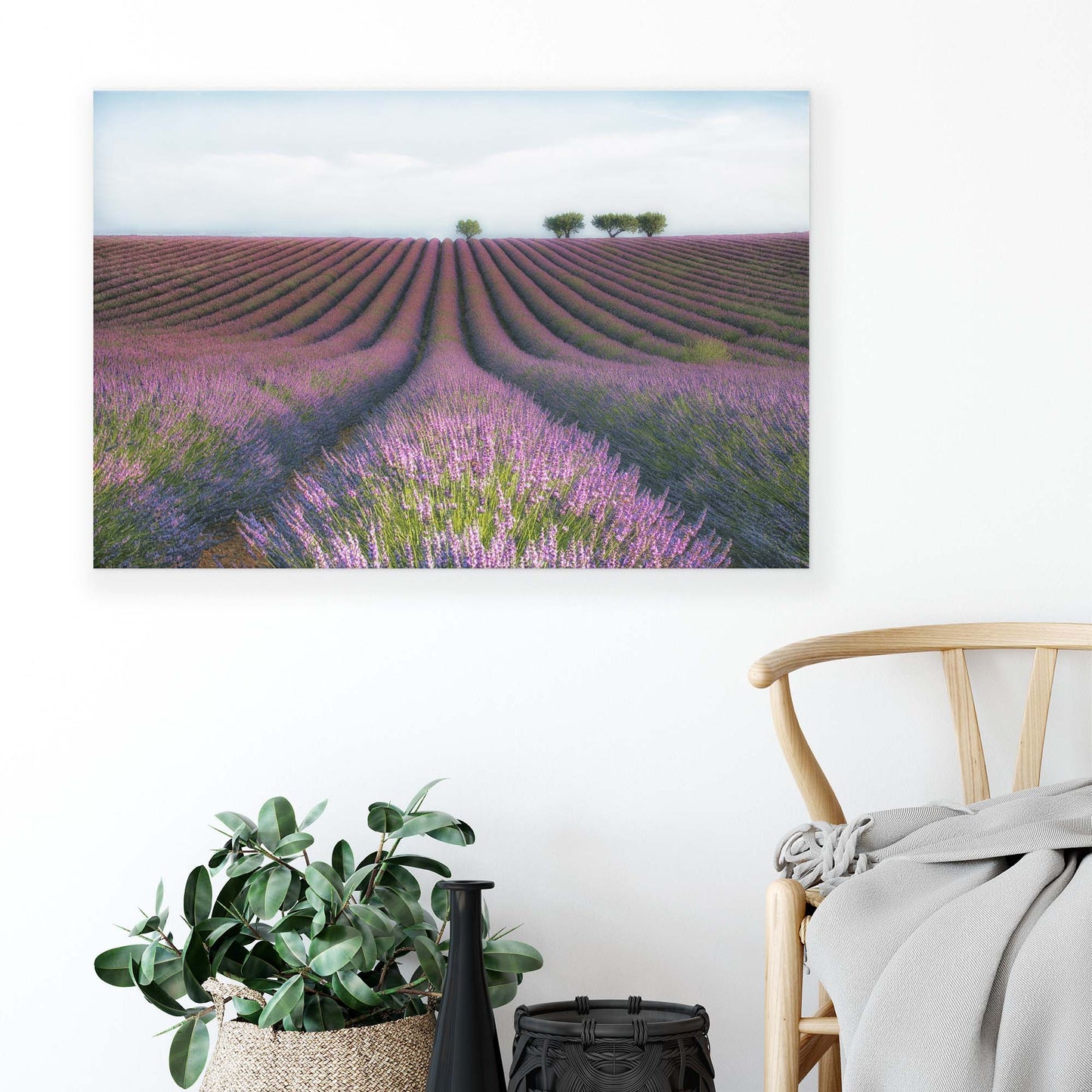 Velours de Lavender by Margarita Chernilova Canvas Print - USTAD HOME