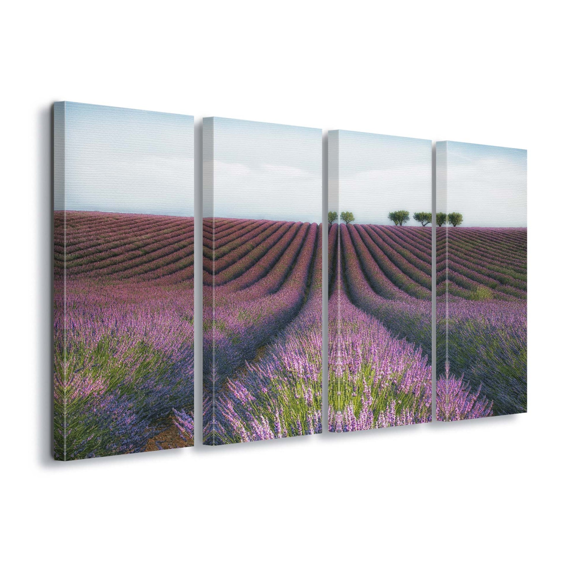 Velours de Lavender by Margarita Chernilova Canvas Print - USTAD HOME