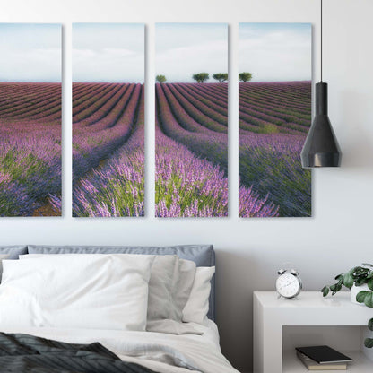 Velours de Lavender by Margarita Chernilova Canvas Print - USTAD HOME