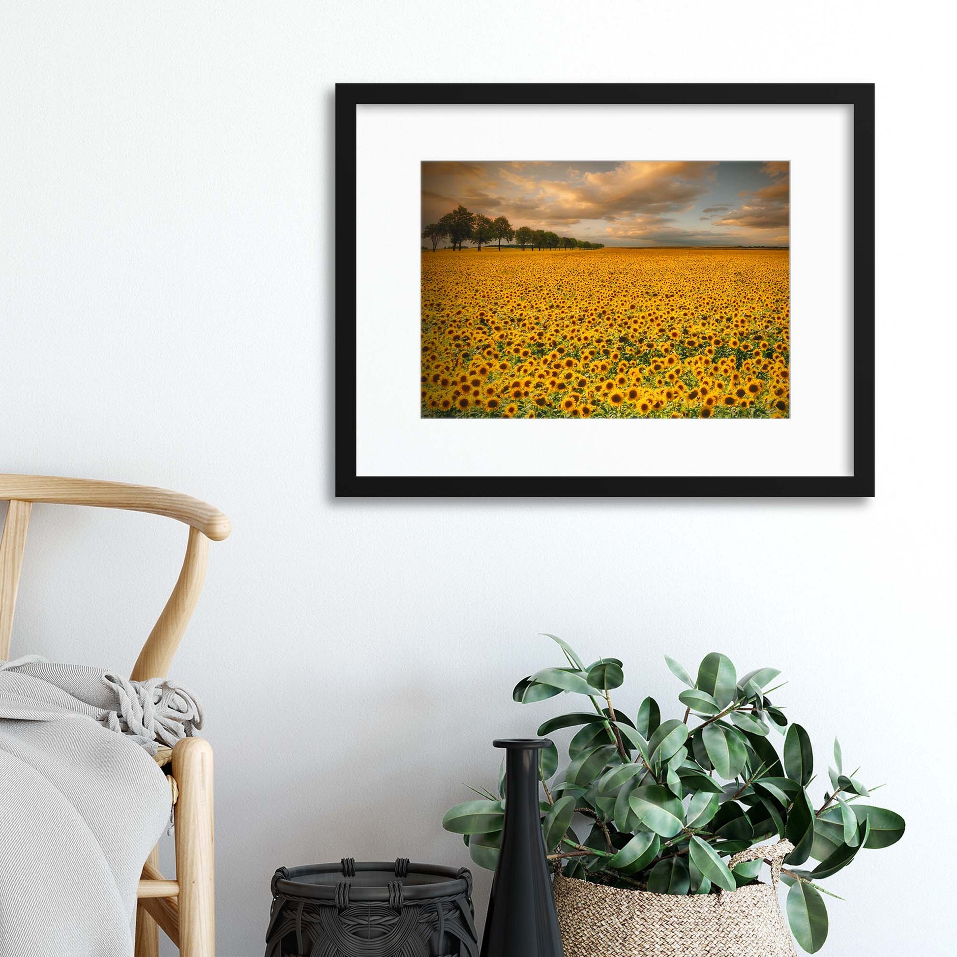 Sunflowers by Piotr Krol Framed Print - USTAD HOME