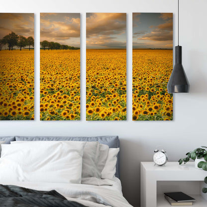 Sunflowers by Piotr Krol Canvas Print - USTAD HOME