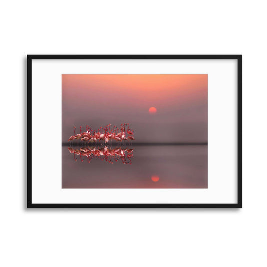 Purple Sunset by Anna Cseresnjes Framed Print - USTAD HOME