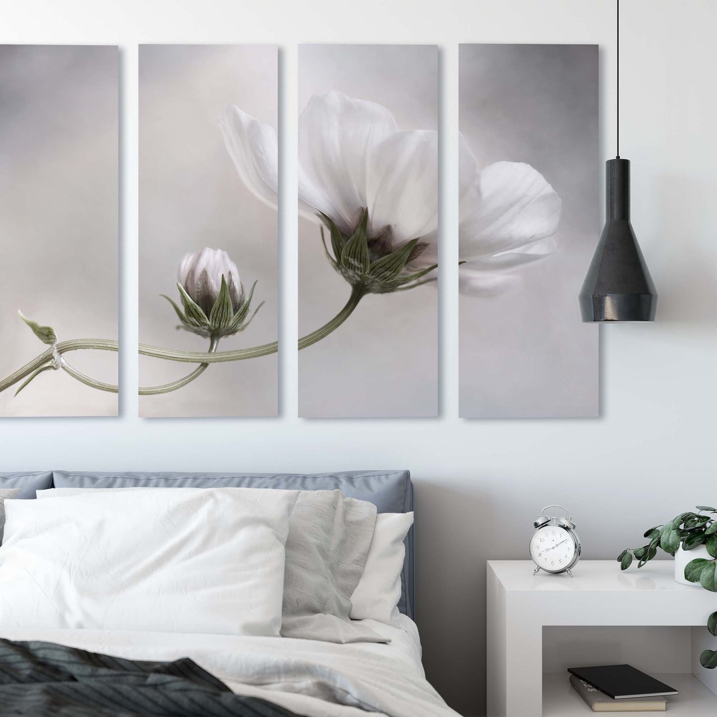 Simply Cosmos by Mandy Disher Canvas Print - USTAD HOME