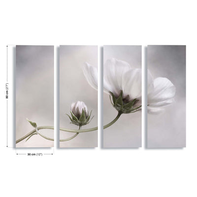 Simply Cosmos by Mandy Disher Canvas Print - USTAD HOME