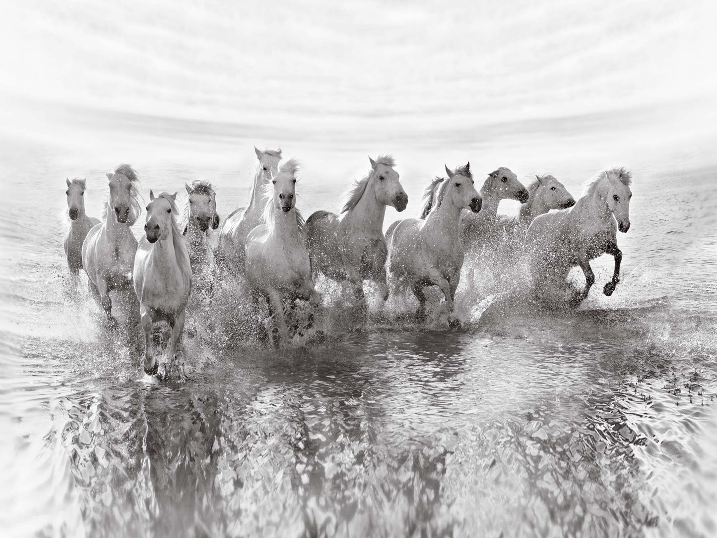 Illusion of Power (13 horse power though) by Roman Golubenko Canvas Print - USTAD HOME