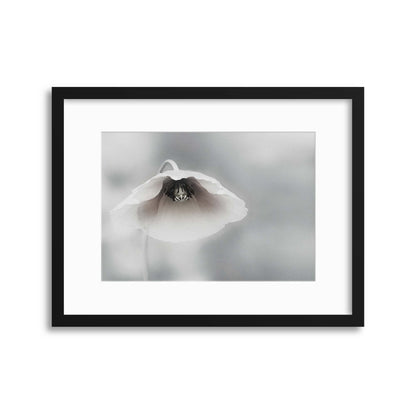 Ephemeral Beauty by Piet Flour Framed Print - USTAD HOME