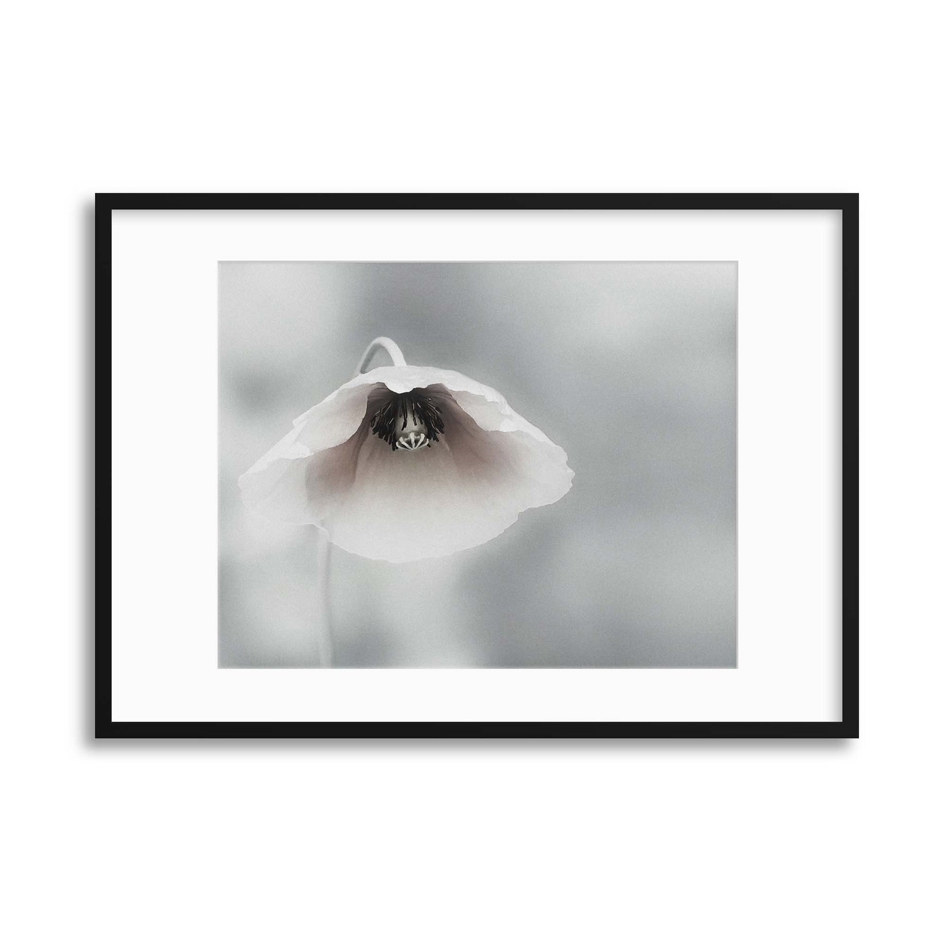 Ephemeral Beauty by Piet Flour Framed Print - USTAD HOME