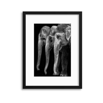 Nature's Great Masterpiece by Yvette Depaepe Framed Print - USTAD HOME