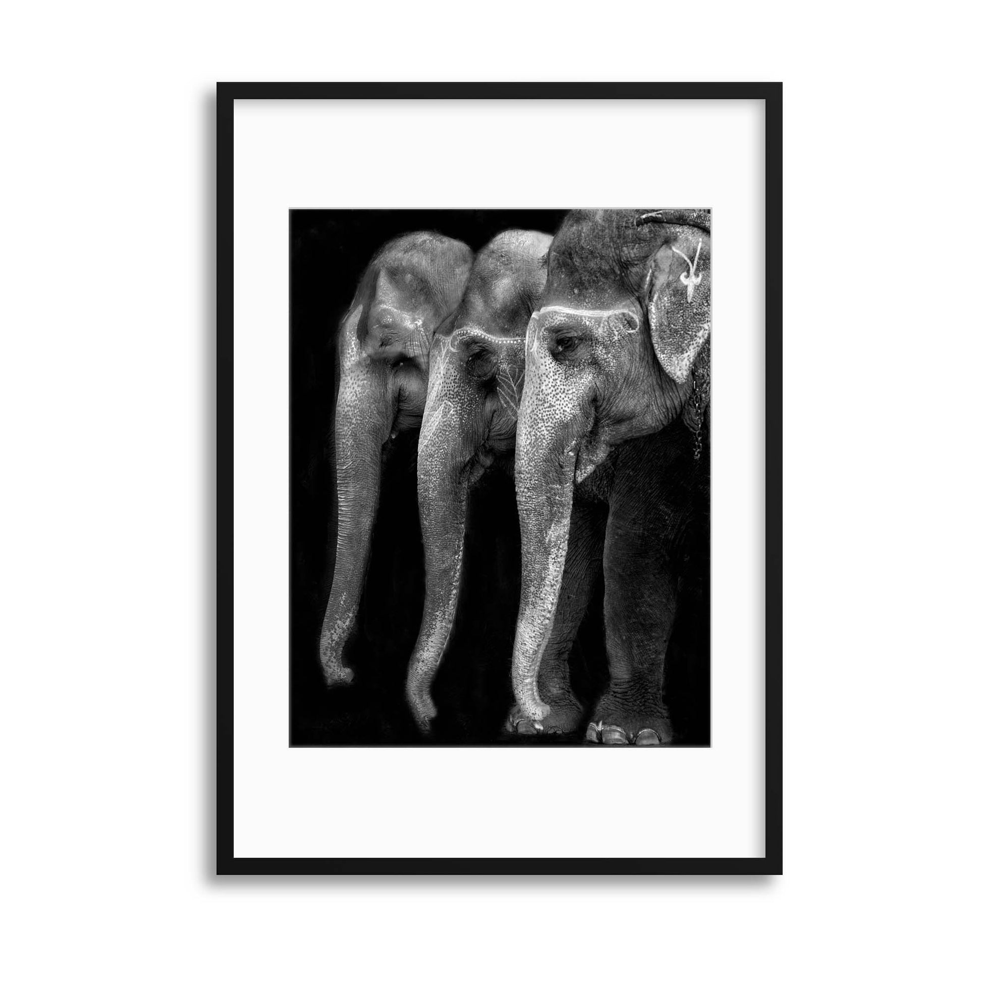 Nature's Great Masterpiece by Yvette Depaepe Framed Print - USTAD HOME