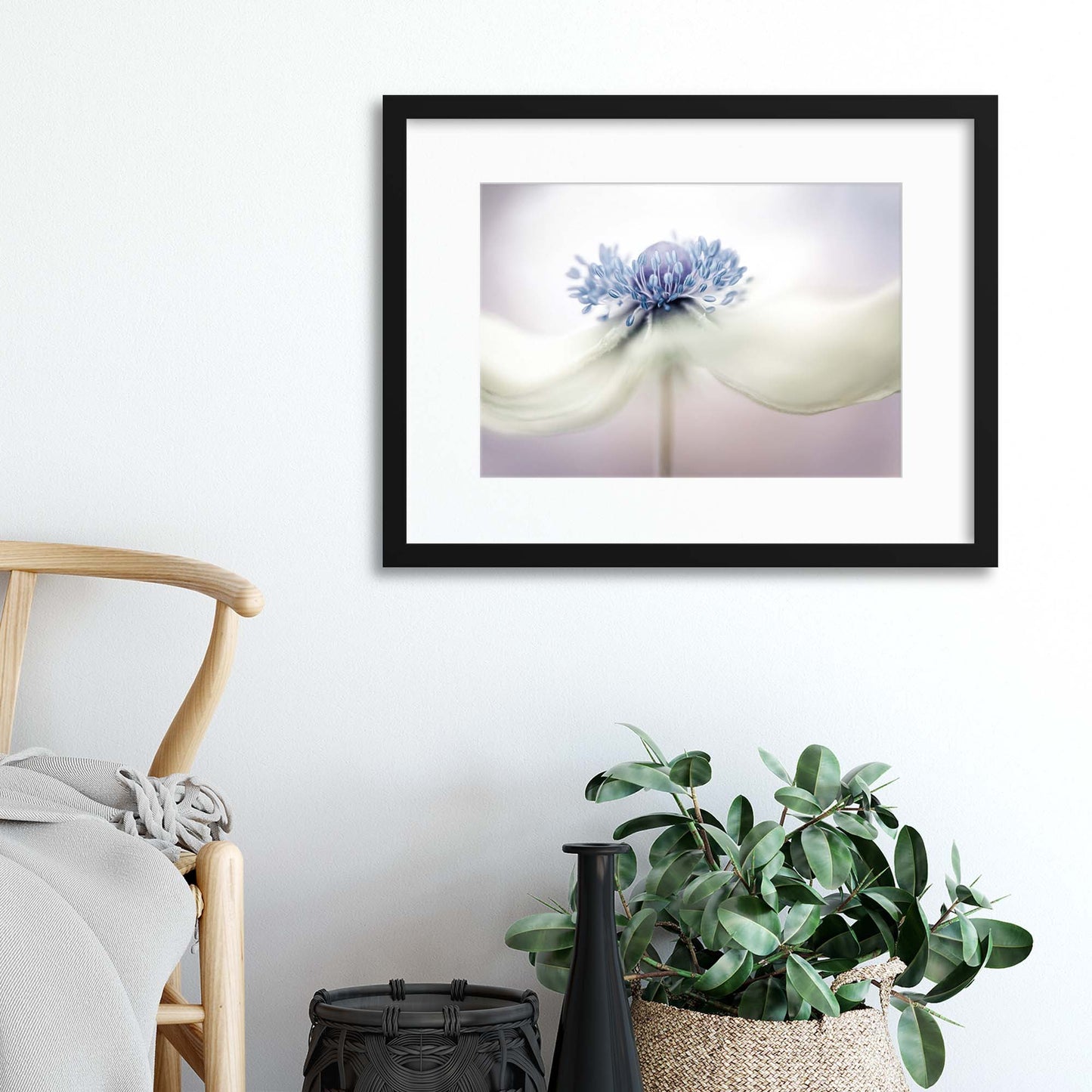 Anemone by Mandy Disher Framed Print - USTAD HOME