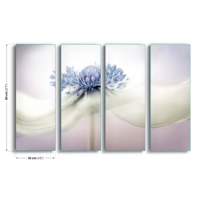 Anemone by Mandy Disher Glass Print - USTAD HOME