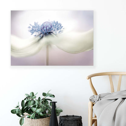 Anemone by Mandy Disher Canvas Print - USTAD HOME