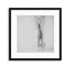 Lace by Ton Dirven Framed Print - USTAD HOME