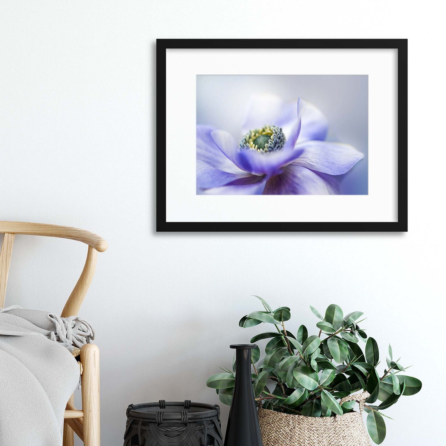 Anemone De Caen by Jacky Parker Framed Print - USTAD HOME