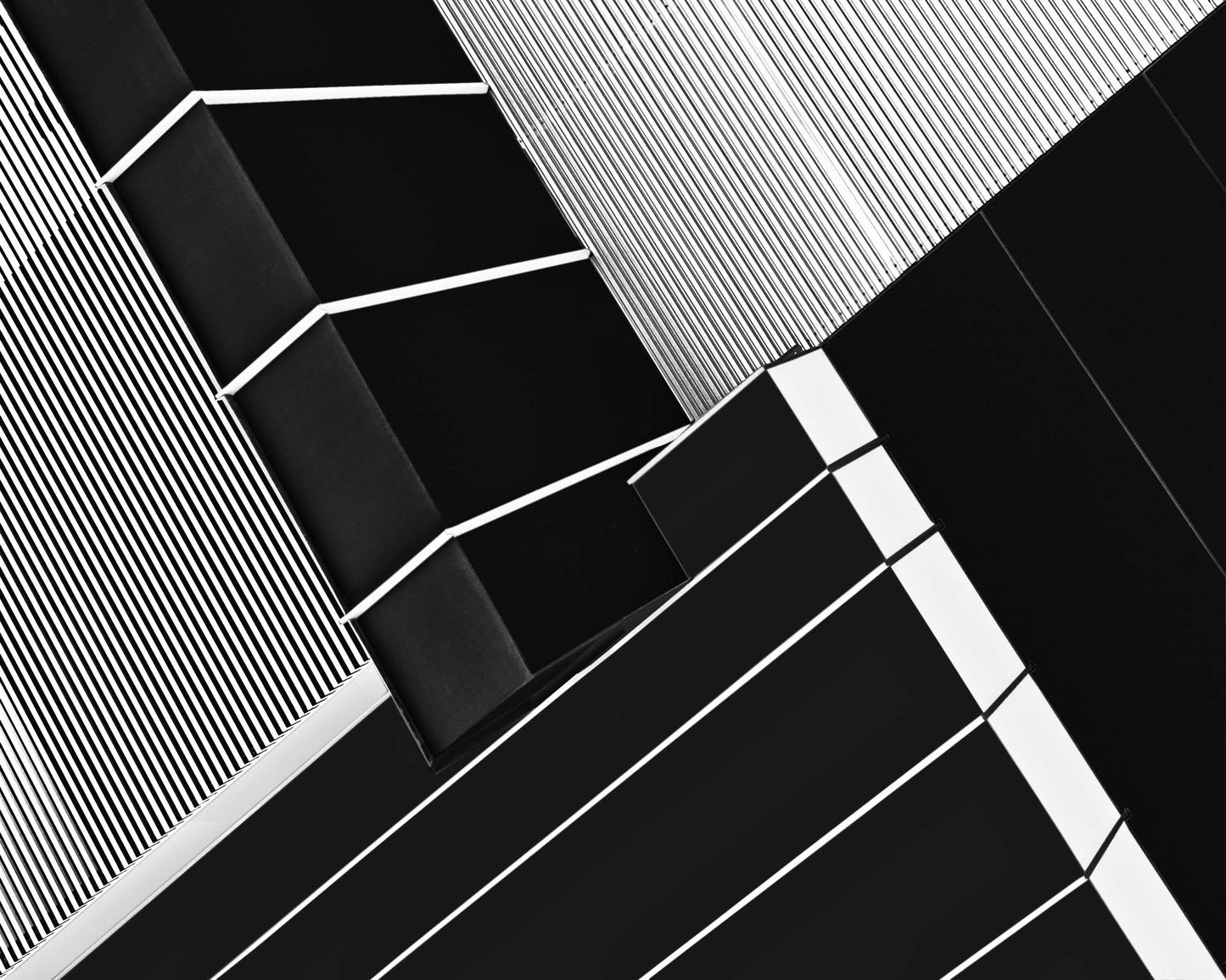 Fragile Symmetry by Paulo Abrantes Framed Print - USTAD HOME