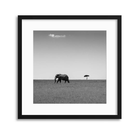 Elephant and the Friendly Cloud by Ali Khataw Framed Print - USTAD HOME