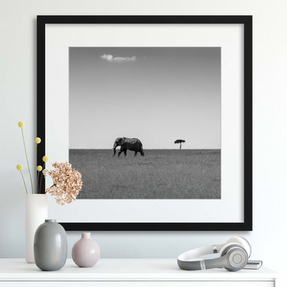 Elephant and the Friendly Cloud by Ali Khataw Framed Print - USTAD HOME