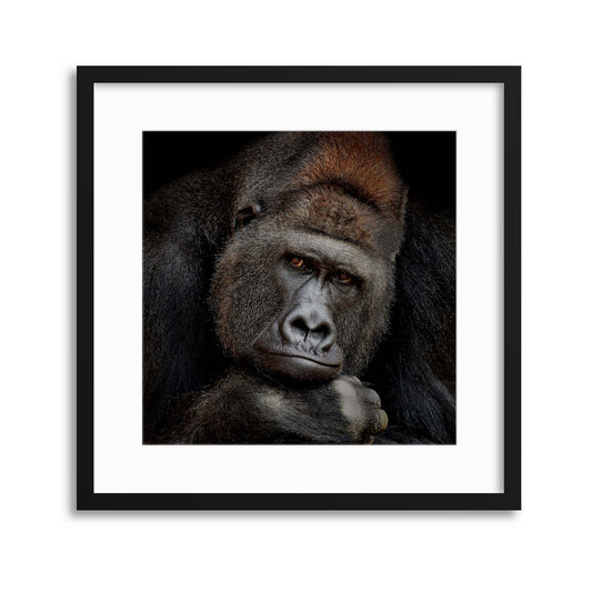 One Moment in Contact by Antje Wenner-Braun Framed Print - USTAD HOME