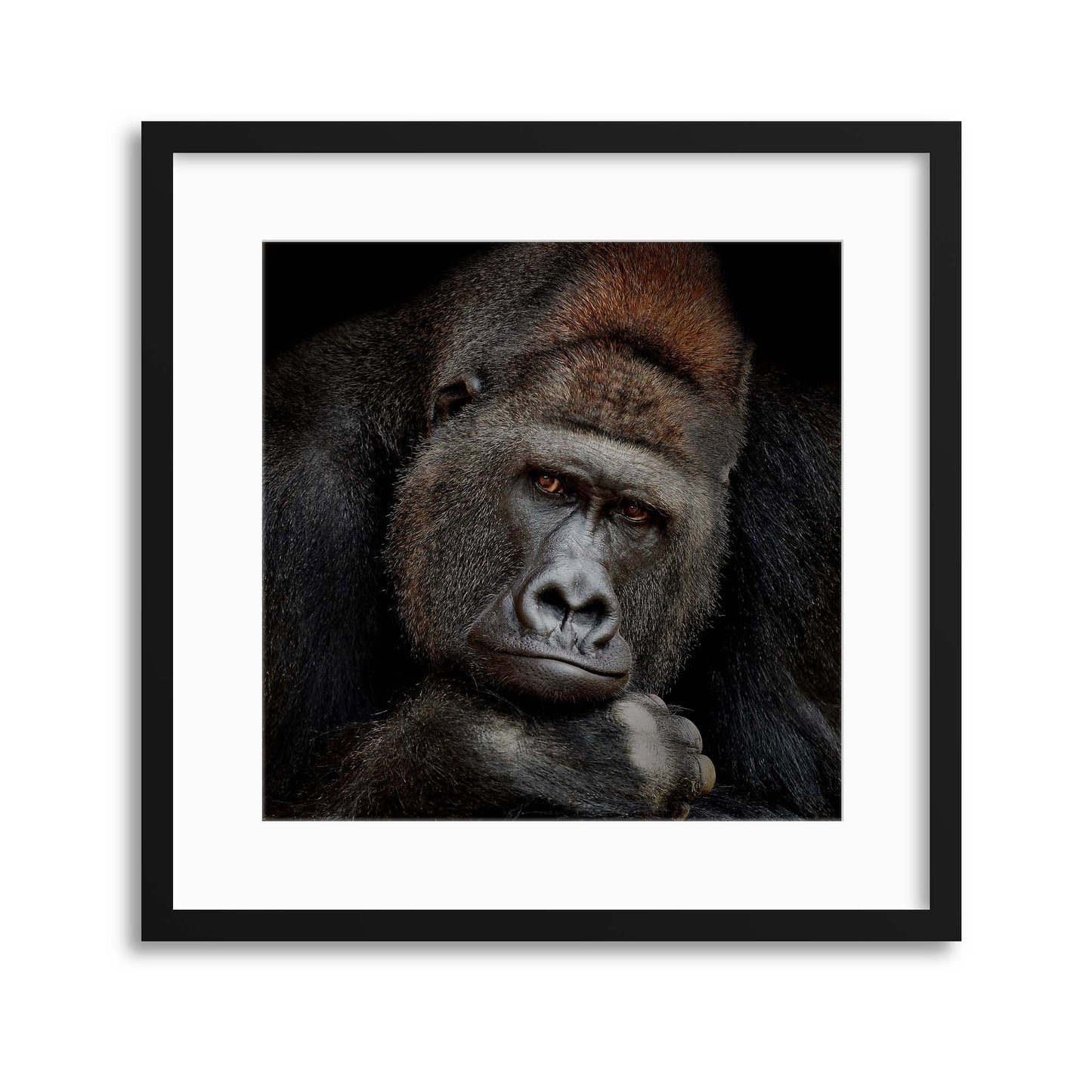 One Moment in Contact by Antje Wenner-Braun Framed Print - USTAD HOME