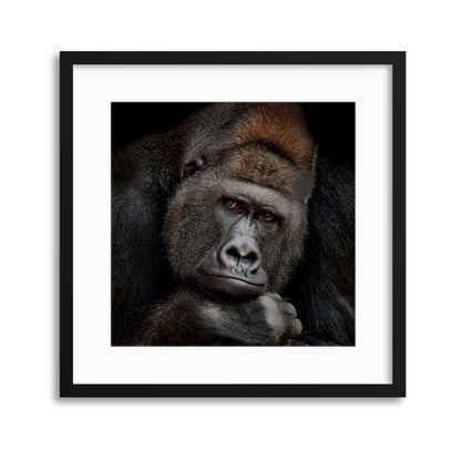 One Moment in Contact by Antje Wenner-Braun Framed Print - USTAD HOME