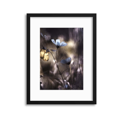 Lueur d'Automne by Fabien Bravin Framed Print - USTAD HOME