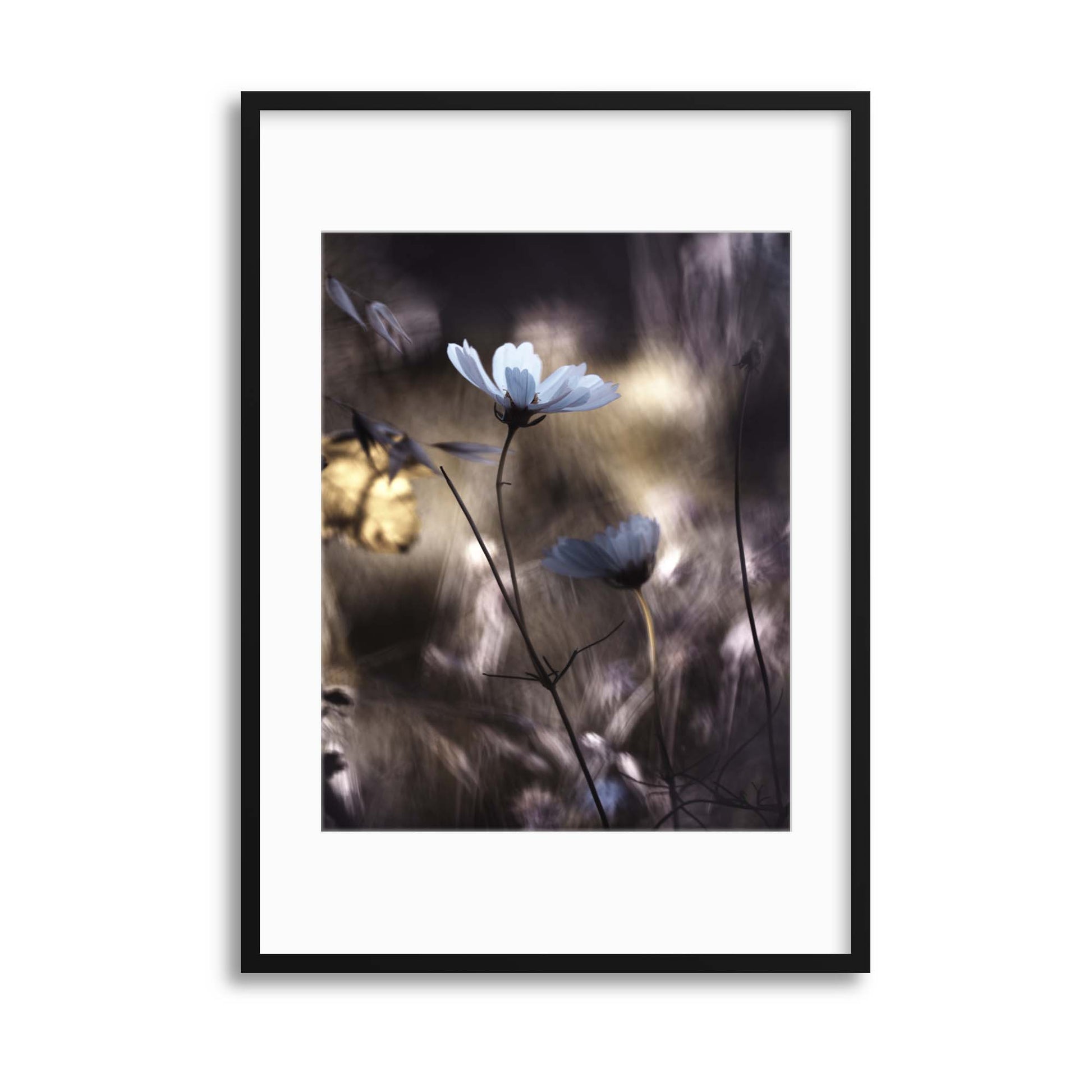 Lueur d'Automne by Fabien Bravin Framed Print - USTAD HOME