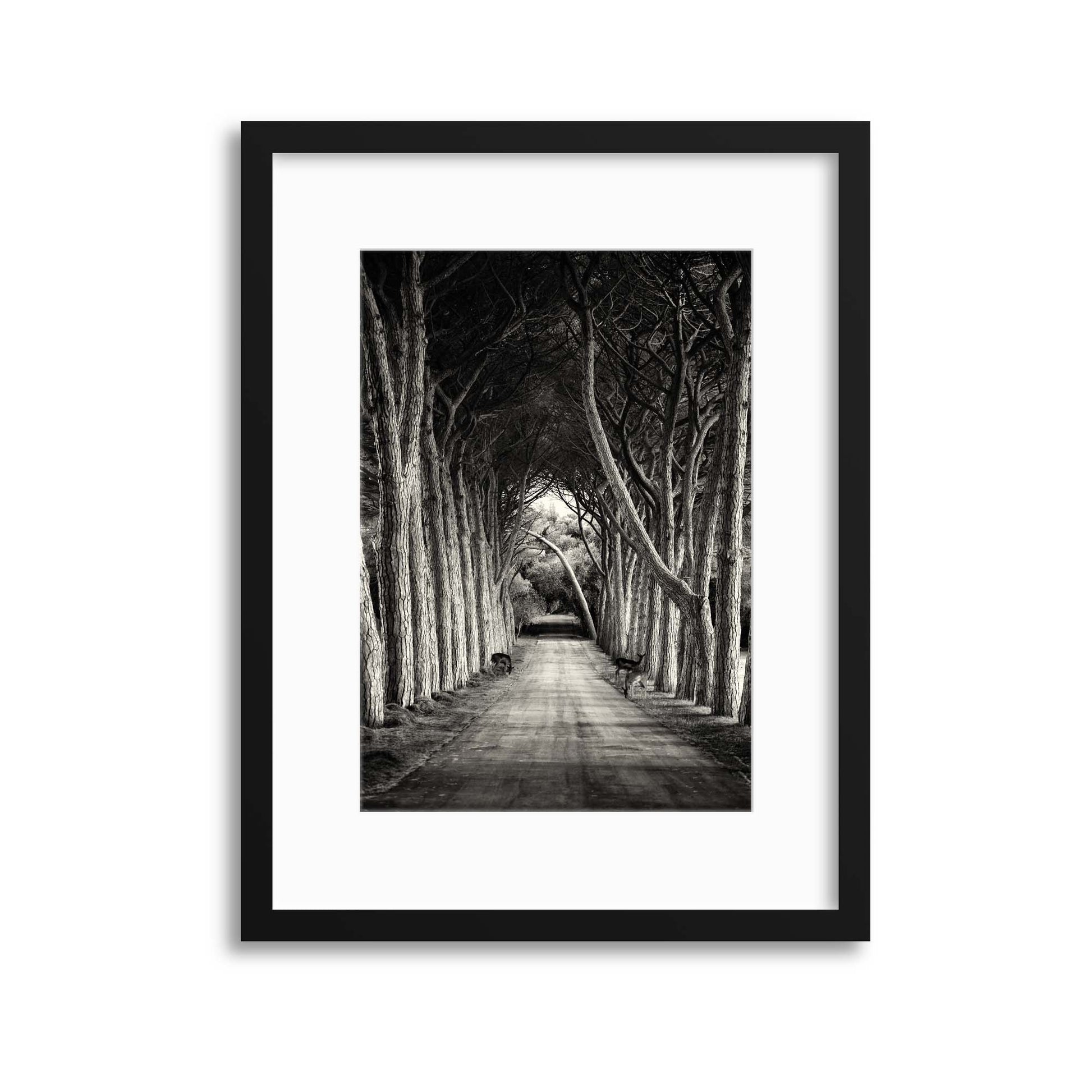 The Way by Sandra &Aring;&nbsp;timac Framed Print - USTAD HOME