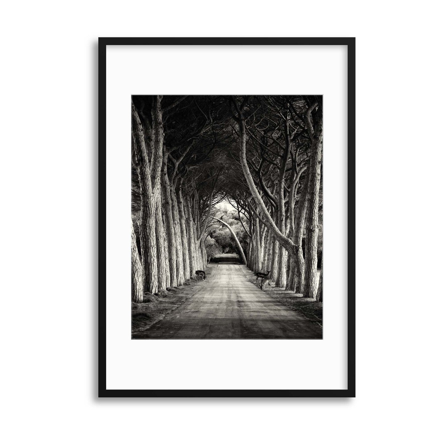 The Way by Sandra &Aring;&nbsp;timac Framed Print - USTAD HOME