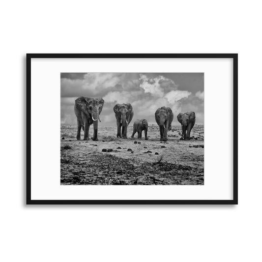 Big Family by Marcel Rebro Framed Print - USTAD HOME