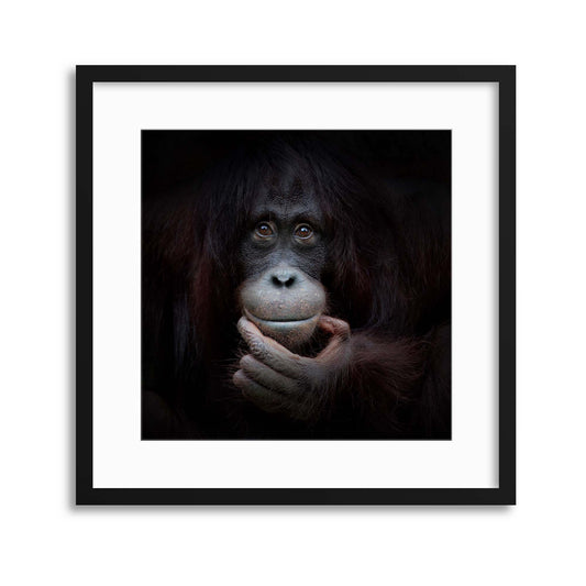 The Mirror Image by Antje Wenner-Braun Framed Print - USTAD HOME