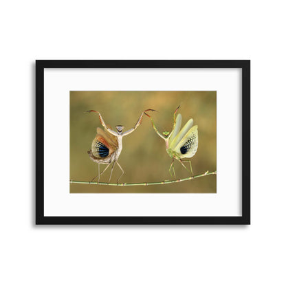 Show Time by Hasan Baglar Framed Print - USTAD HOME