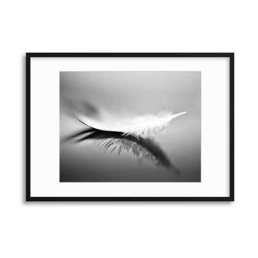 White by Olinda Coutinho Framed Print - USTAD HOME