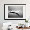 White by Olinda Coutinho Framed Print - USTAD HOME