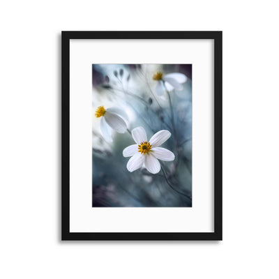 Cosmos by Mandy Disher Framed Print - USTAD HOME