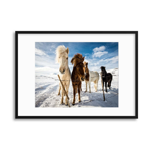 Icelandic Hair Style by Mike Leske Framed Print - USTAD HOME