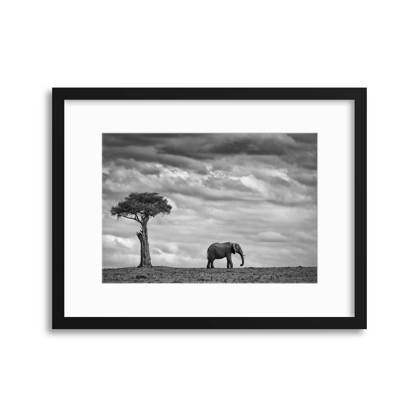 Elephant Landscape by Mario Moreno Framed Print - USTAD HOME