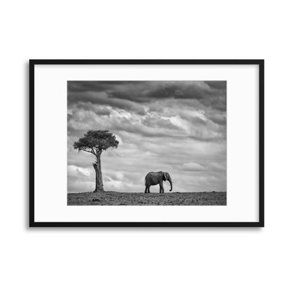 Elephant Landscape by Mario Moreno Framed Print - USTAD HOME