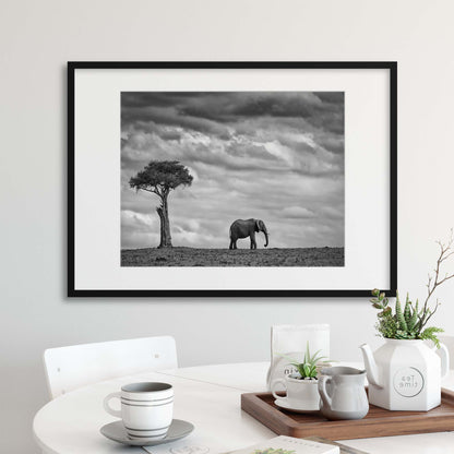 Elephant Landscape by Mario Moreno Framed Print - USTAD HOME