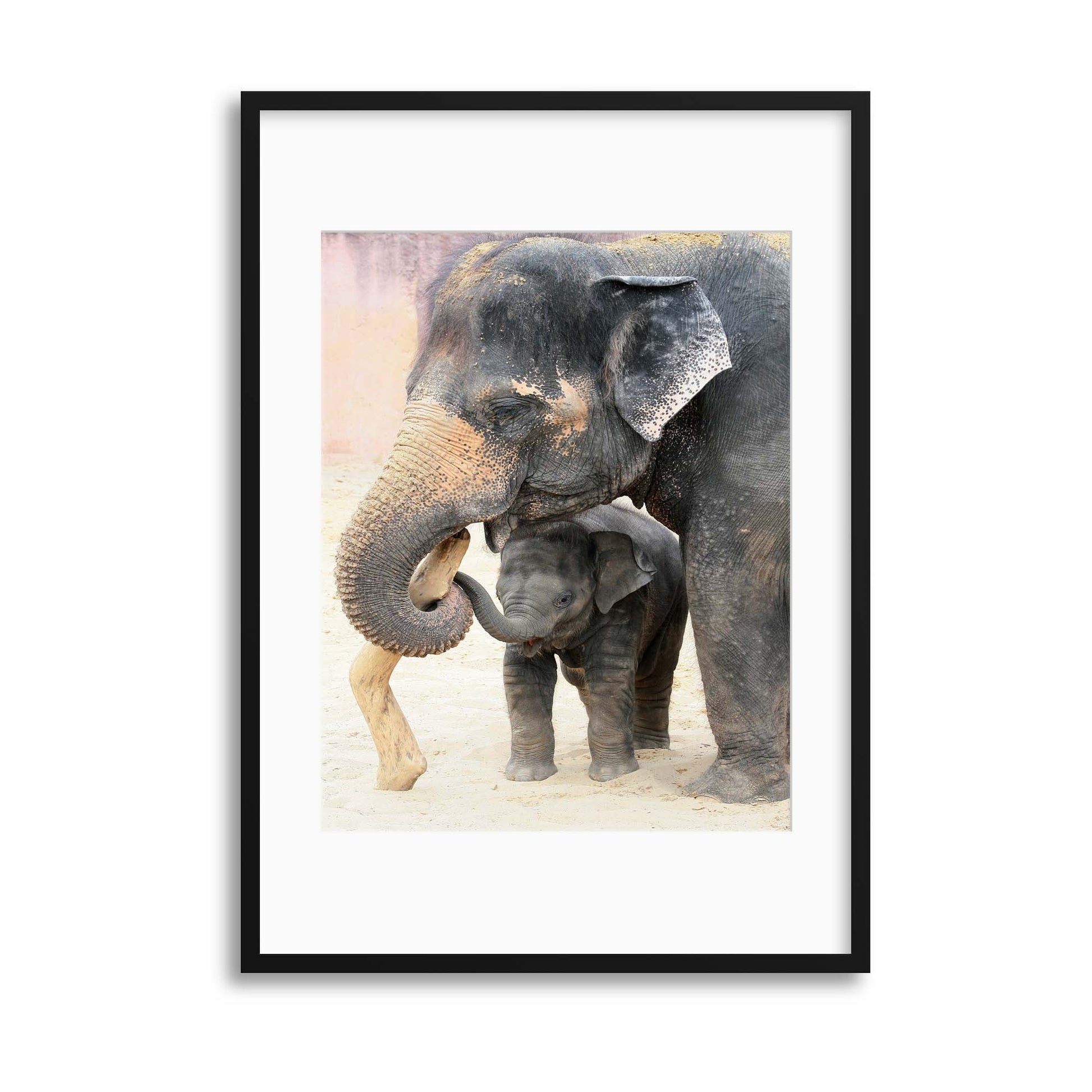 TWO by Antje Wenner-Braun Framed Print - USTAD HOME