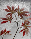 Red Maple by Secundino Losada Framed Print - USTAD HOME